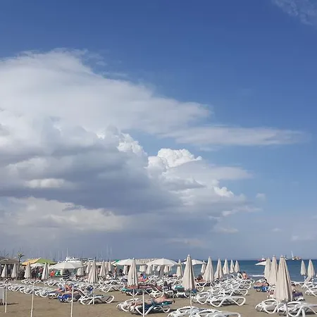 Ithaki Phinikoudes No. 102