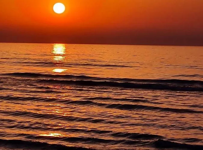 Ithaki Phinikoudes No. 102 アパート