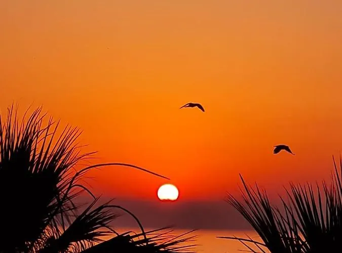 アパート Ithaki Phinikoudes No. 102 *