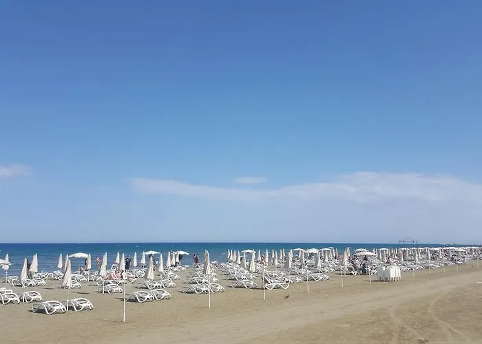 Ithaki Phinikoudes No. 102 * Larnaca