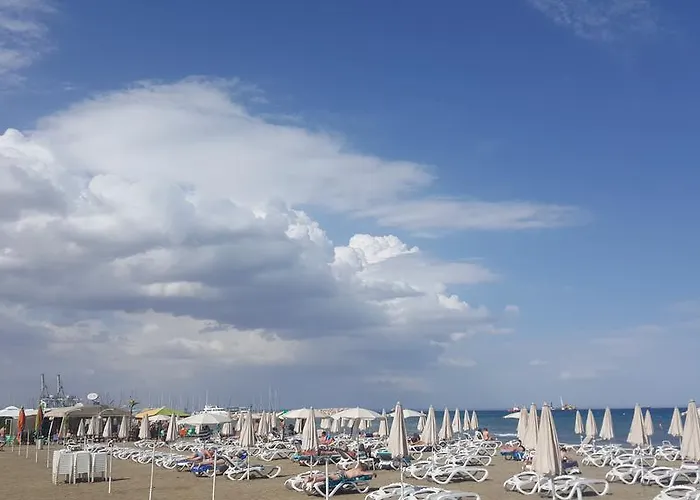 Ithaki Phinikoudes No. 102