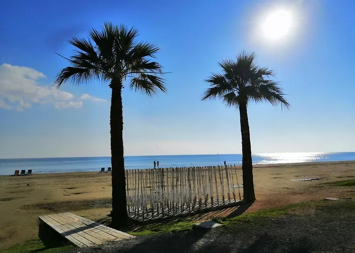 Ithaki Phinikoudes No. 102 ラルナカ